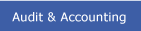 Audit & Accounting